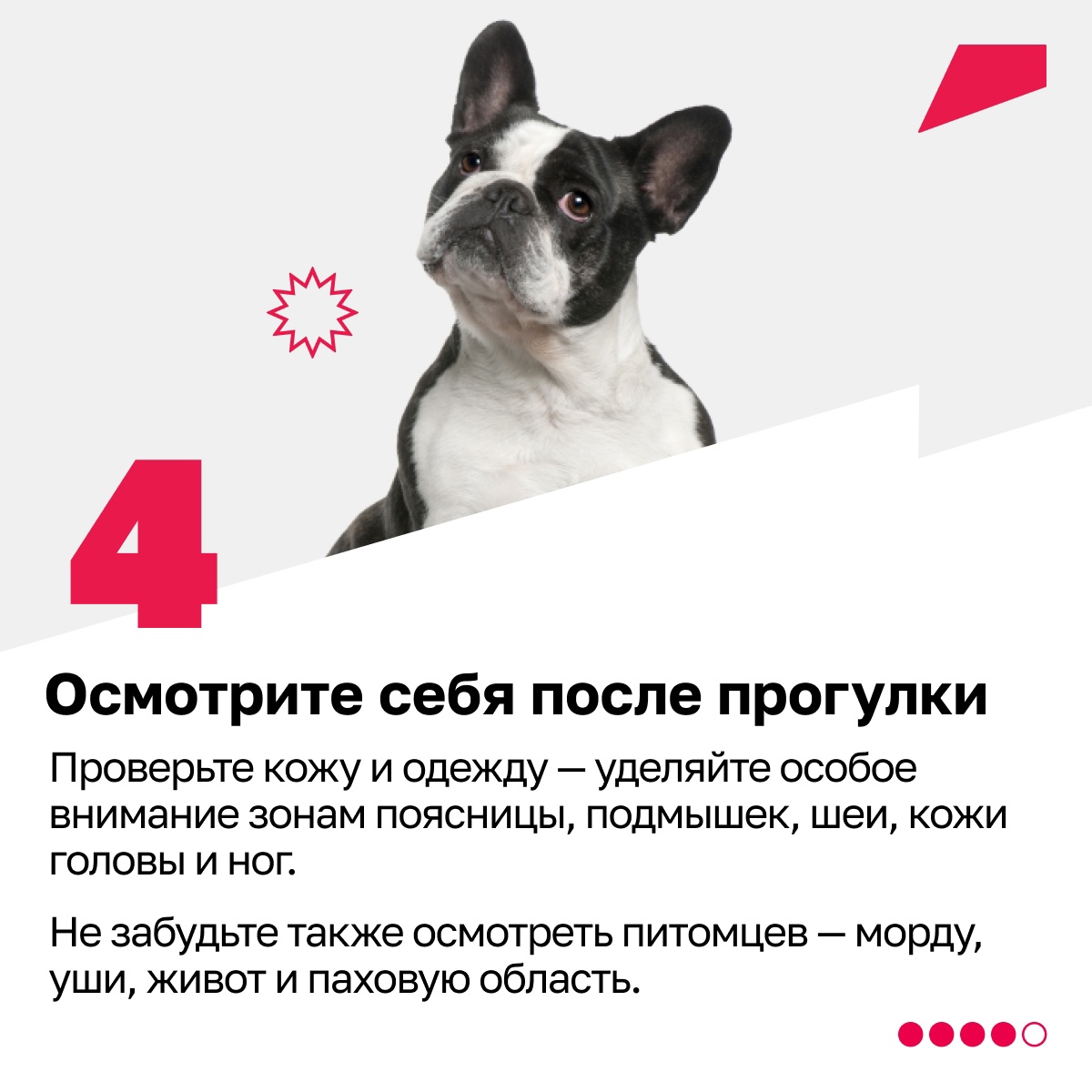 A3hNiMKxEqk